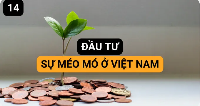 Đầu Tư và Sự Méo Mó ở Việt Nam
