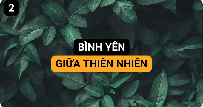 Bình Yên giữa Thiên Nhiên