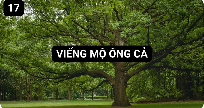 Viếng Mộ Ông Cả